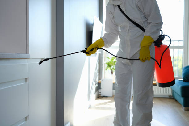 Mold Removal and Inspection in Secaucus, NJ